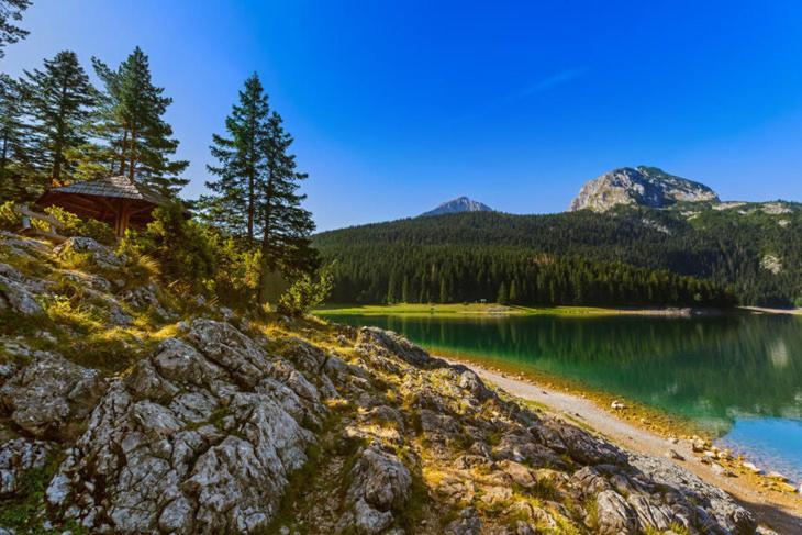 Villa Vikendice Smolovic Žabljak Exterior foto